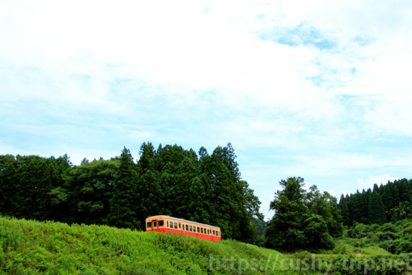 里山を走る小湊鐵道の列車